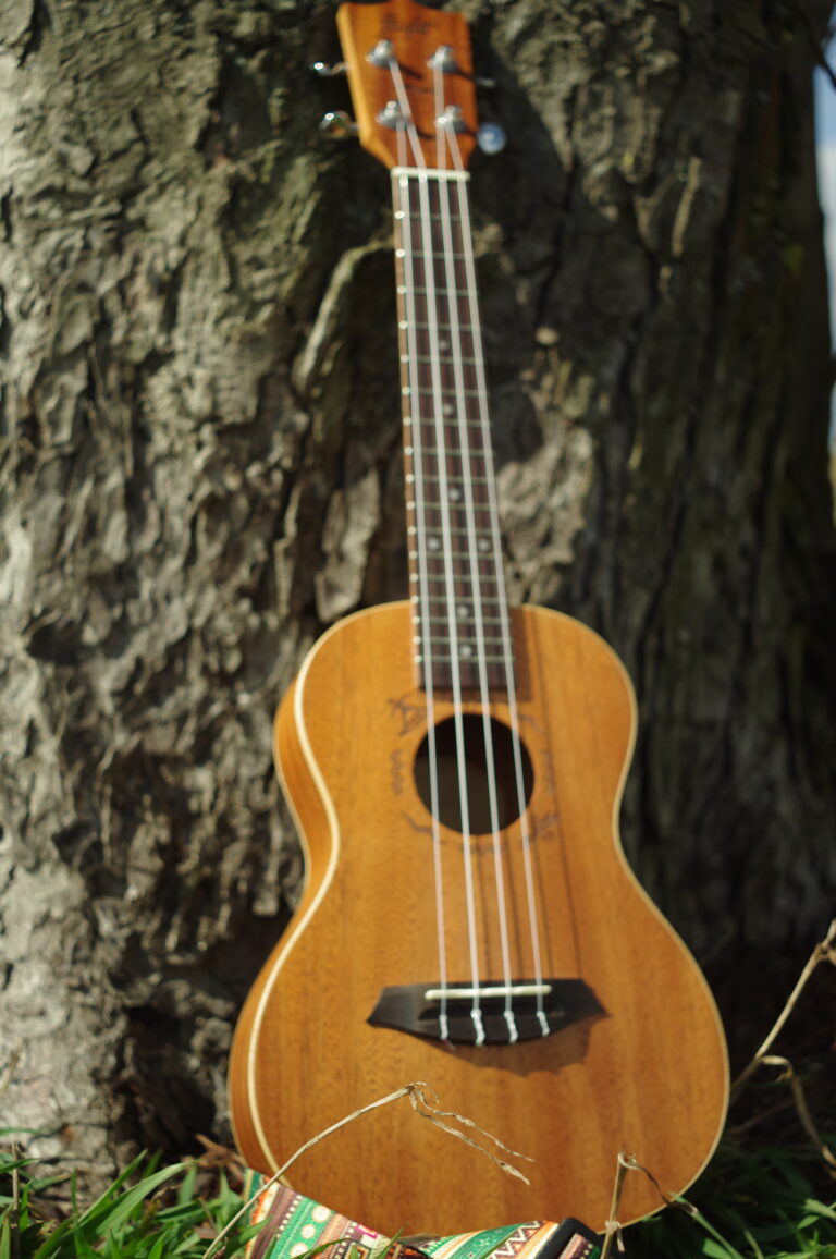 Muzykolotka Ukulele oparte o drzewo