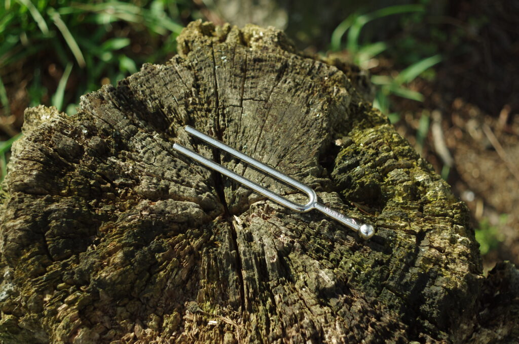 Muzykolotka Kamerton na pniu drzewa